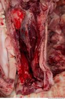 RAW meat pork 0002